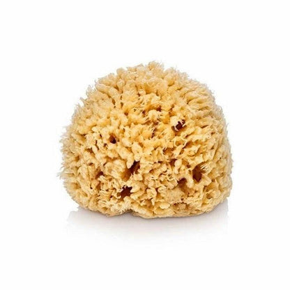 ATMÓS SPONGE - Nisiá 100% Natural Sea Sponge for Baths & Shower - Cleansing & Dry Brushing, Skincare