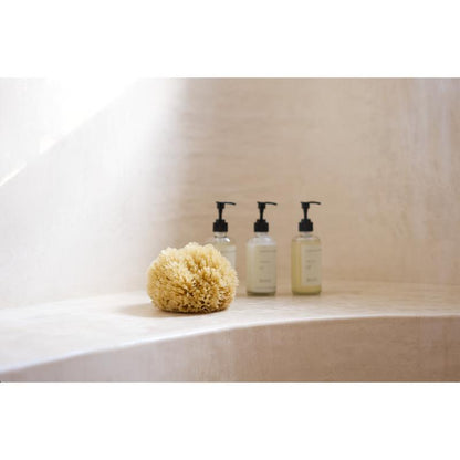 ATMÓS SPONGE - Nisiá 100% Natural Sea Sponge for Baths & Shower - Cleansing & Dry Brushing, Skincare